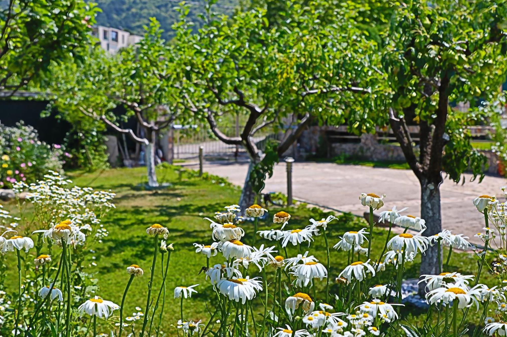 Holiday House Kubrat Sapareva Banya ภายนอก รูปภาพ