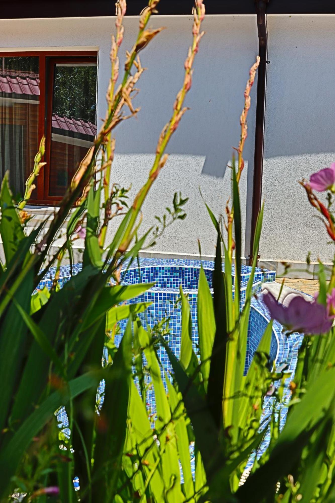 Holiday House Kubrat Sapareva Banya ภายนอก รูปภาพ